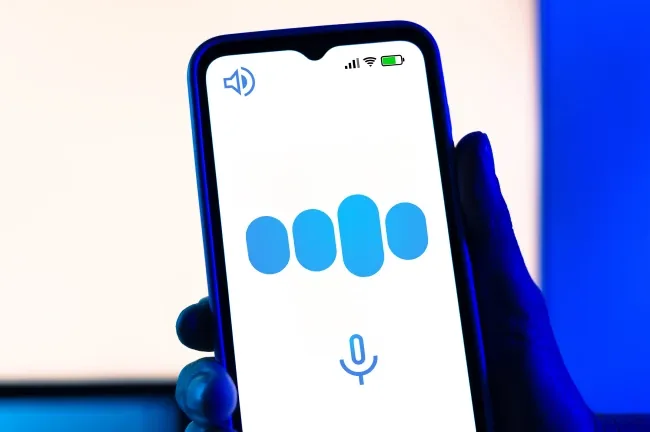 Voice User Interface (VUI) Integration